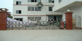 ��ͤ��ͤ����ά��